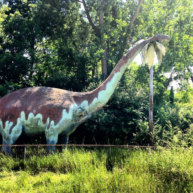 Irish Hills Area - Prehistoric Forest Summer 2014 (newer photo)